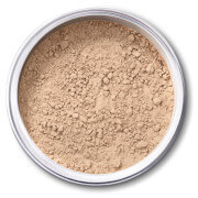 EX1 Cosmetics Pure Crushed Mineral Powder Foundation - 1.0