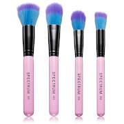 Spectrum Collections Duo Fibre Brush Set - Pink
