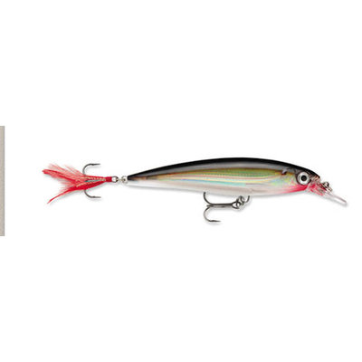 Rapala XR10 X-Rap Jerkbait 10 XR10S Silver