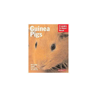 Guinea Pigs (Paperback) (Immanuel Birmelin)