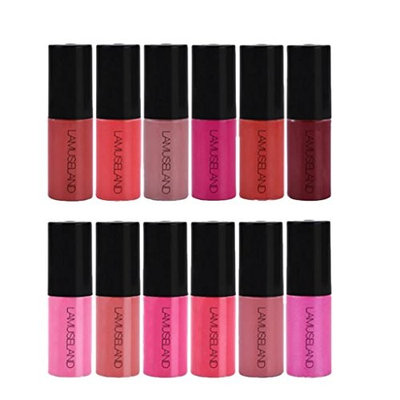 Dovewill 12 Colors Set Waterproof Long Lasting Matte Nude Lip Gloss Liquid Lipstick Beauty Makeup Non-sticky Cosmetics