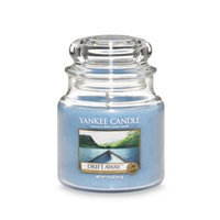 Yankee CandleA Drift Awaya ¢ Medium Classic Jar Candle