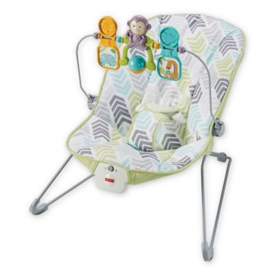 Fisher-Price® Arrow 17 Baby Bouncer
