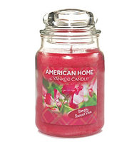 YANKEE CANDLE American Home™ Large Jar Candle Simply Sweet Pea