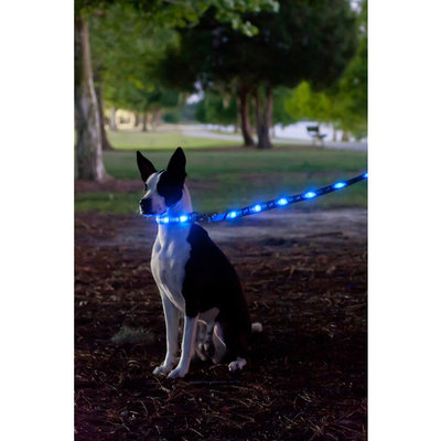 Light Up LED Dog Leash - Patented Light Up Durable Glowing Leash for Puppies and Dogs - by Dog e Glow (Blue Bones, 6 Feet)