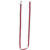 Dogit Nylon Single Ply Training Dog Leash, Large, Red