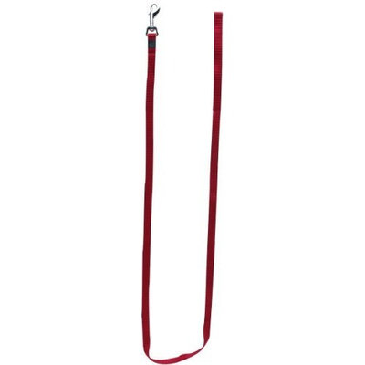 Dogit Nylon Single Ply Training Dog Leash, Large, Red