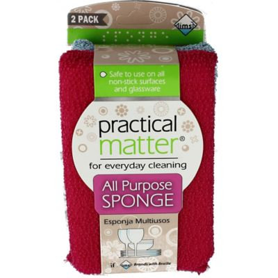 Practical Matter® All-Purpose 2-Pack Sponges