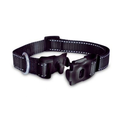 ThunderCollar® Medium Pet Collar in Black with Tag Silencer