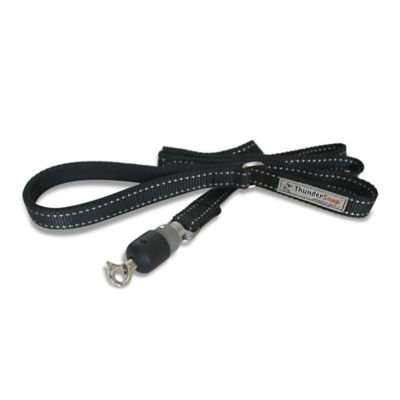 ThunderSnap Large Dog Leash in Black