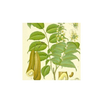 Peru Balsam (resin) 50ml