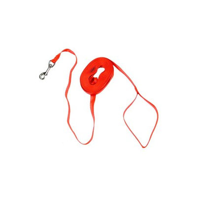 Remington Nylon Check Cord Training Dog Leash in Orange