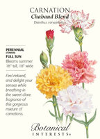 Chabaud Carnation Seeds - 350 mg - Perennial