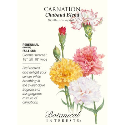 Chabaud Carnation Seeds - 350 mg - Perennial