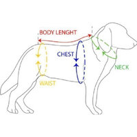 HTKJ Washable Male Dog Belly Band (Pack of 4) with Velcro Reusable Durable Dog Diapers Wrap for Small Medium Pet Dog