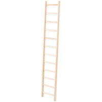 All Living Things® Parrot Ladder size: 24 in