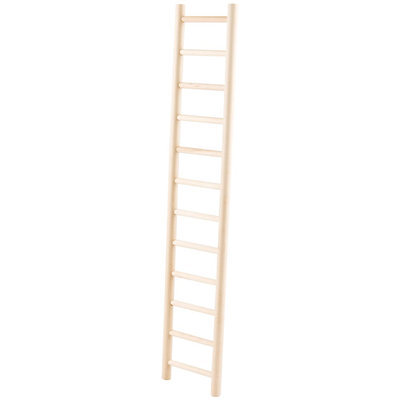 All Living Things® Parrot Ladder size: 24 in
