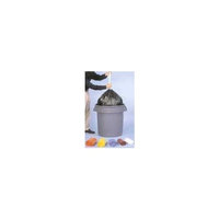 Inteplast SL3036XHW2 Low-Density Can Liner, 30 x 36, 30gal.7mil, White, 25/Roll, 8 Rolls/Carton