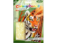 NOTM324676 - Mini Color Pencil By Number Kit 5''X7''