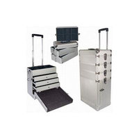 City Lights Large Detachable and Lockable Aluminum Case on Wheels, Silver