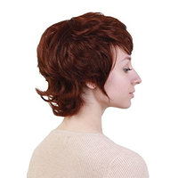 Baoblaze Short Curly Layered Wigs for Women with Bangs Heat Resistant Human Hair Mixed Memory Synthetic Fiber Dark Brown Hair None Lace in Front Cosplay Party Costume Wig