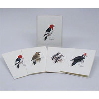 Steven M. Lewers & Associates LEWERSNC46 Peterson's Woodpecker Notecard Assortment (2 each of 4 styles)