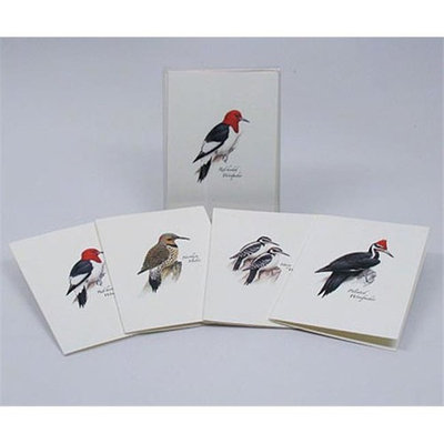 Steven M. Lewers & Associates LEWERSNC46 Peterson's Woodpecker Notecard Assortment (2 each of 4 styles)