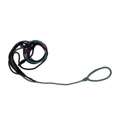 ABO Gear Slip Dog Lead