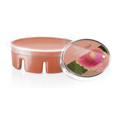 Colonial Candle Simmer Snap Wax Melt Tropical Nectar Scent Candle