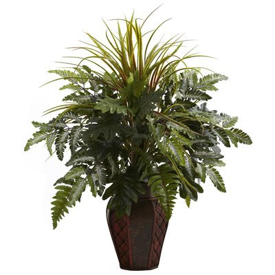 Bay Isle Home Mixed Grass and Fern Desk Top Plant in Planter