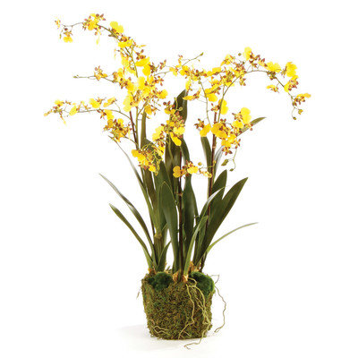 The Holiday Aisle Dancing Drop-In Orchid