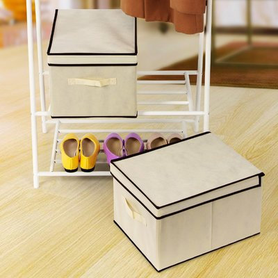 Rebrilliant Large Foldable Storage with Lid Box