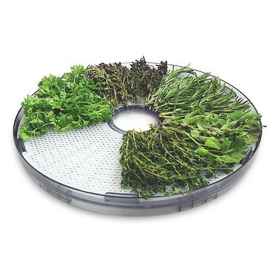 Salton Dehydrator Tray