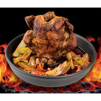 Romertopf Clay Poultry Grilling Dish