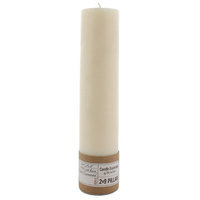The Holiday Aisle Unscented Paraffin Pillar Candle Size: 9
