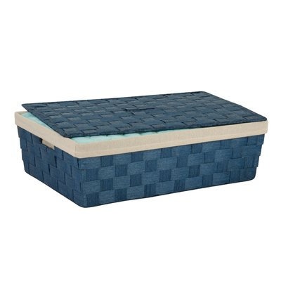 Birch Lane Kids Lidded Underbed Basket Color: Blue