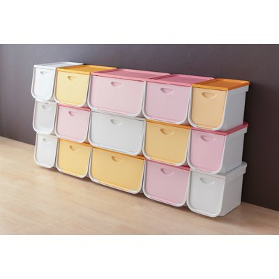 Iris 22 Quart Plastic Flap Box Color: White