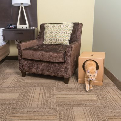 Pet Safe Standard Litter Box (3 Pack)