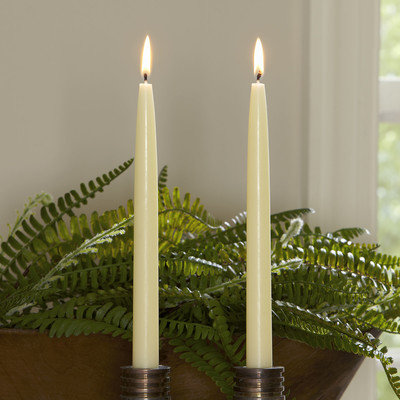 Birch Lane Ivory Tapered Candlesticks