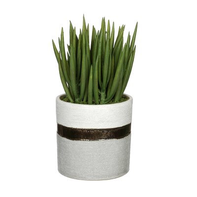 House Of Silk Flowers Artificial Sea Sanded Ceramic Aloe Plant in Decorative Vase