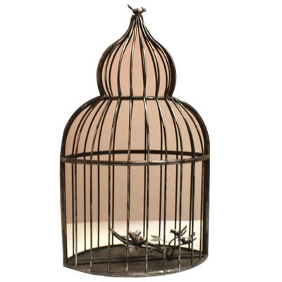 August Grove Warren-Shriner Alluring Iron Decorative Bird Cage