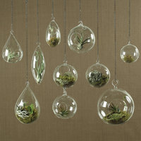 Ivy Bronx Berna Glass Hanging Planter
