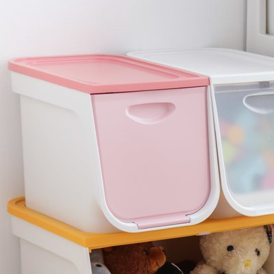 Iris 22 Quart Plastic Flap Box Color: Pink