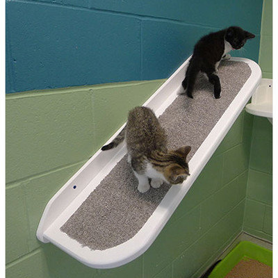 Theverticalcat 40