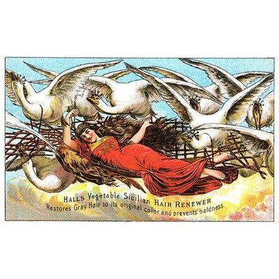 Buyenlarge 'Hall's Vegetable Sicillian Hair Renewer' Wall Art Size: 66