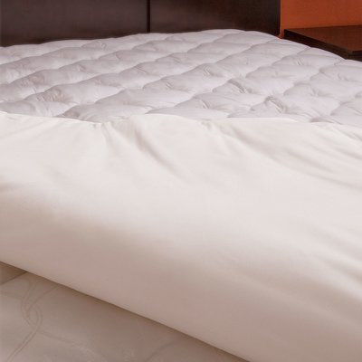 Alwyn Home Polyester Mattress Pad Size: Olympic Queen