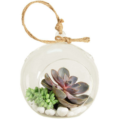 Cysexcel CYS Glass Terrarium Orbs / Handing Tealight Candle Holders, 5.5
