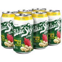 Blue Sky® Zero Sugar Ginger Ale Soda 6-12 fl. oz. Cans