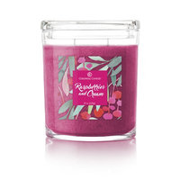 Colonial Candle CC022.5400 22 oz Oval Jar Candle Raspberries & Cream Pack of 2