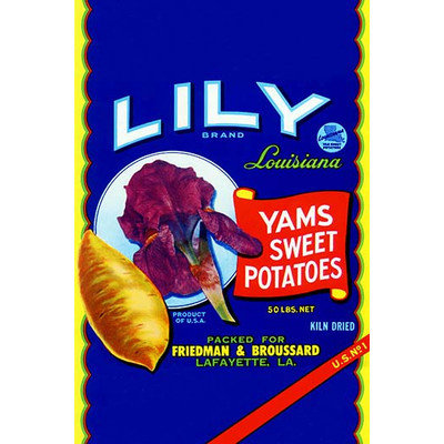 Buyenlarge 'Lily Brand Yams Sweet Potatoes' Wall Art Size: 66